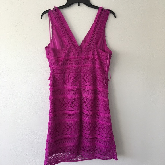 Sam Edelman | NWT V Neck Lace Tassel Pink Very Berry Dress - Picture 5 of 7